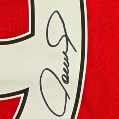 Fernando Torres Signed Liverpool - 2008-2009 Home Shirt